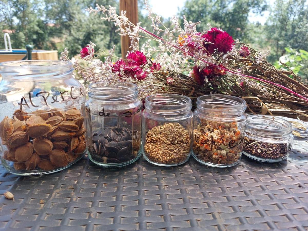 Quinta Da Choupana Ξενοδοχείο Tomar Εξωτερικό φωτογραφία