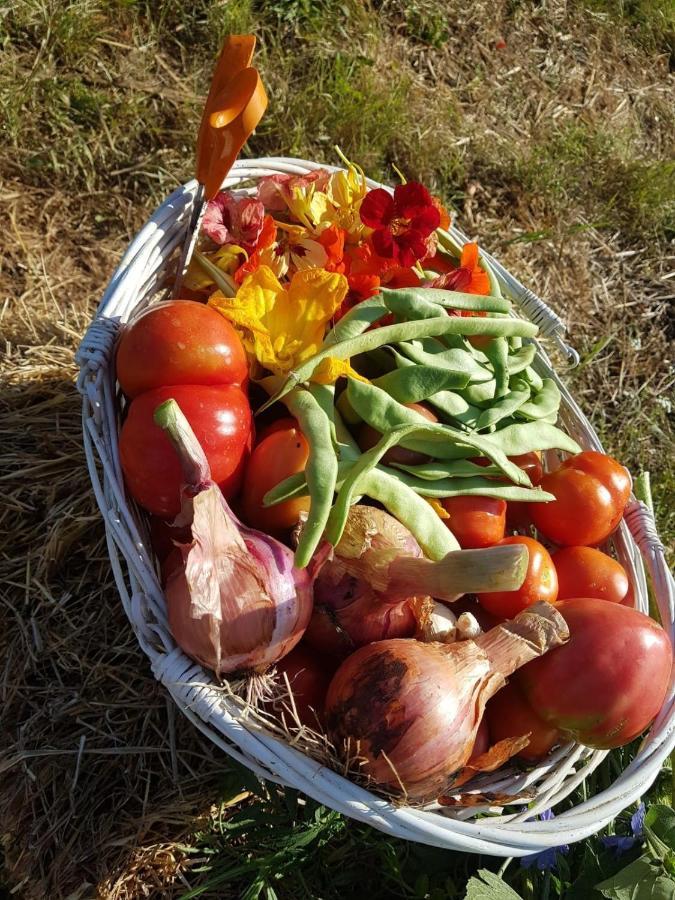 Quinta Da Choupana Ξενοδοχείο Tomar Εξωτερικό φωτογραφία
