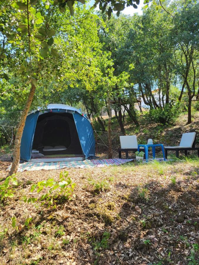 Quinta Da Choupana Ξενοδοχείο Tomar Εξωτερικό φωτογραφία