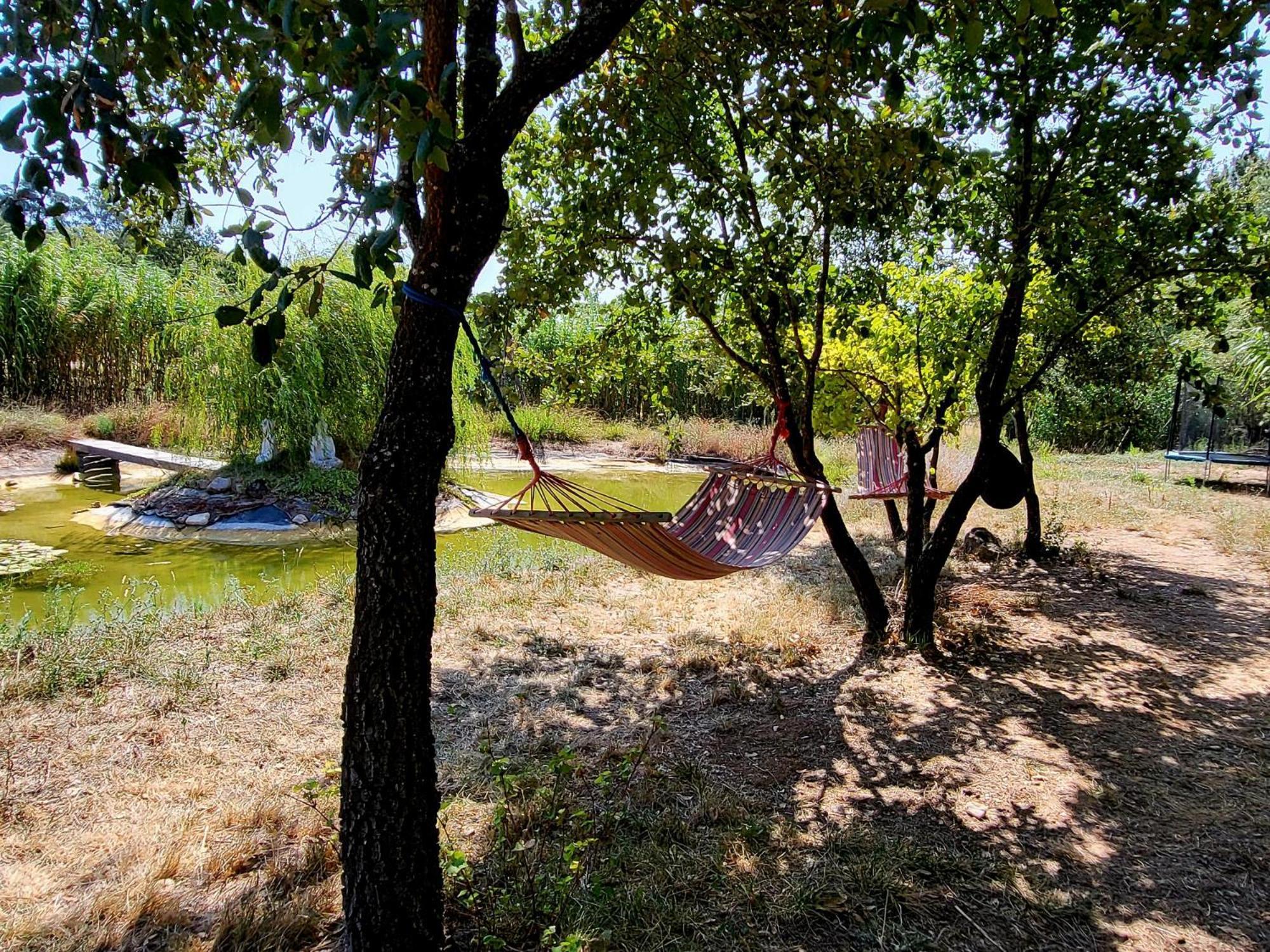 Quinta Da Choupana Ξενοδοχείο Tomar Εξωτερικό φωτογραφία